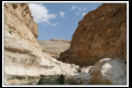 Oman (51).jpg